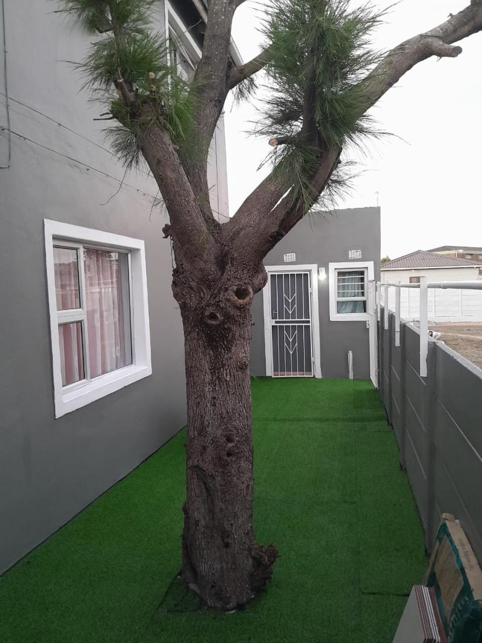 Brooklyn Queens And Kings Guesthouse Cape Town Dış mekan fotoğraf